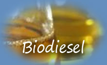 biodiesel